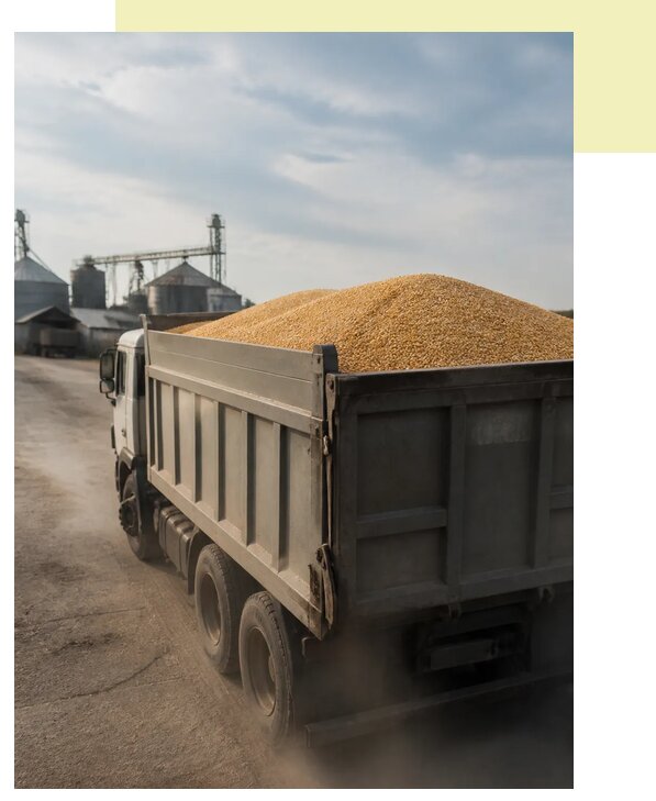Перевозка сельхозпродукции навалом в Сибай по цене от 3083 р. | Агросервис-Сба